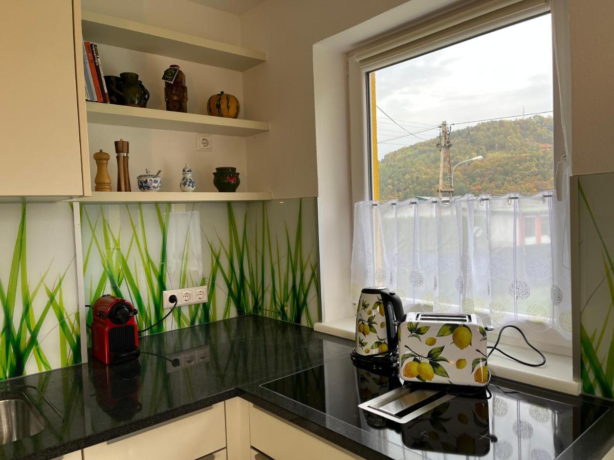 Ferienhaus Sausalblick *