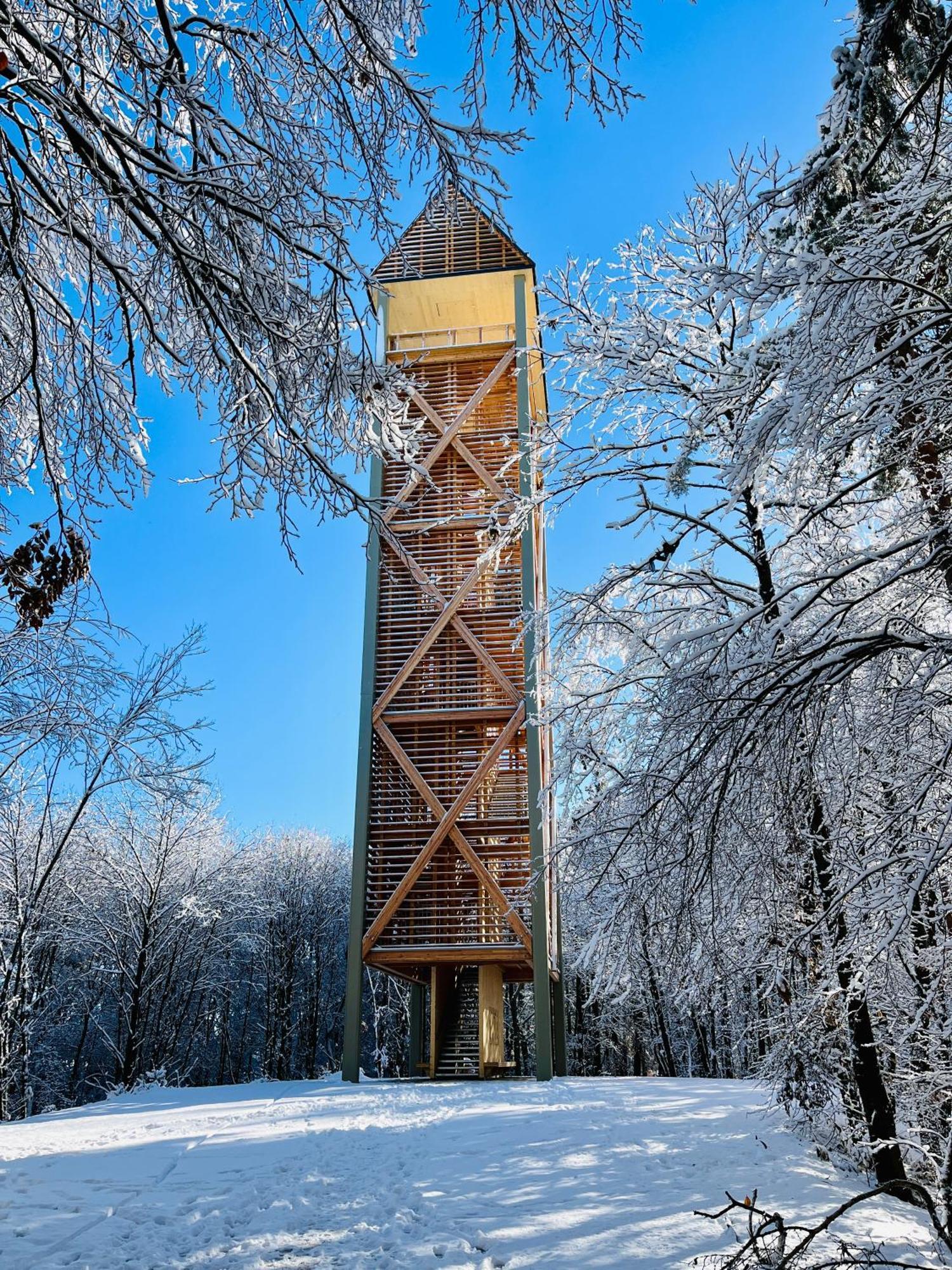 Ferienhaus Sausalblick *