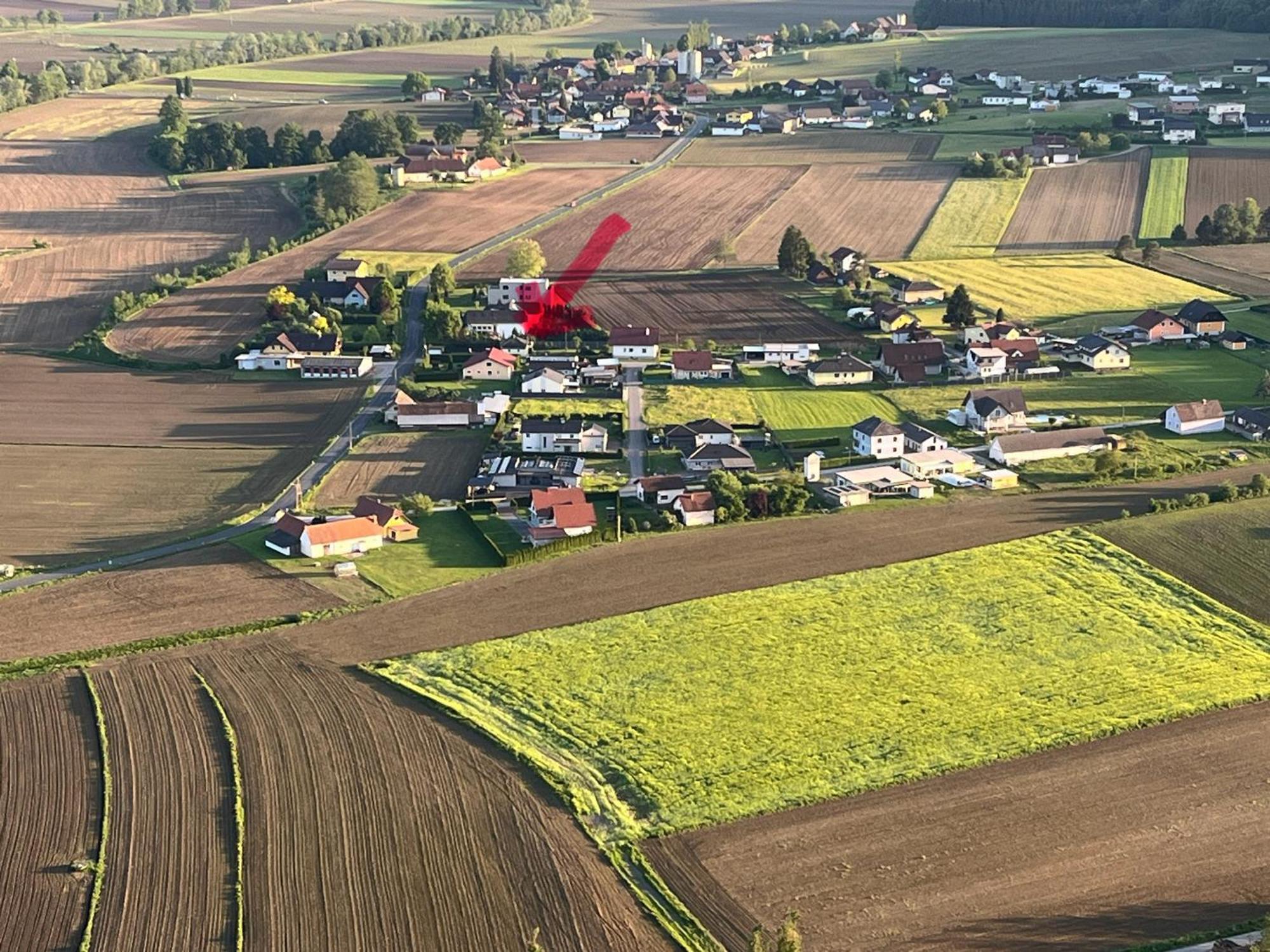 Sausalblick * Großklein